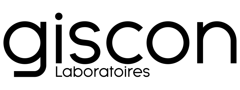 Giscon Logo